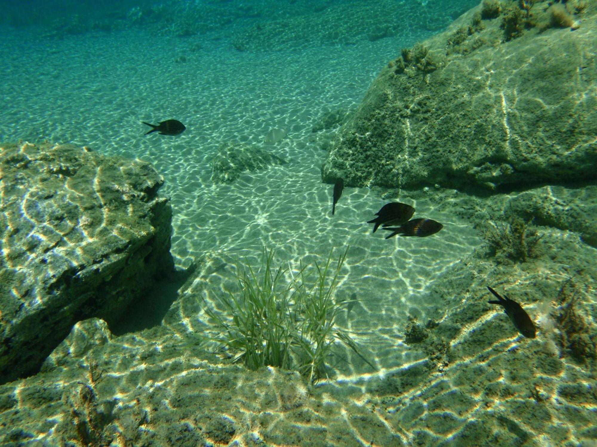 Filoxenia By Grispos Villas Schoinoussa Dış mekan fotoğraf