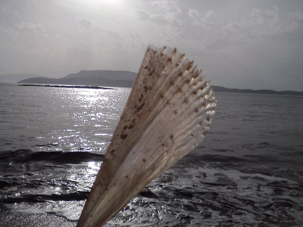 Filoxenia By Grispos Villas Schoinoussa Dış mekan fotoğraf